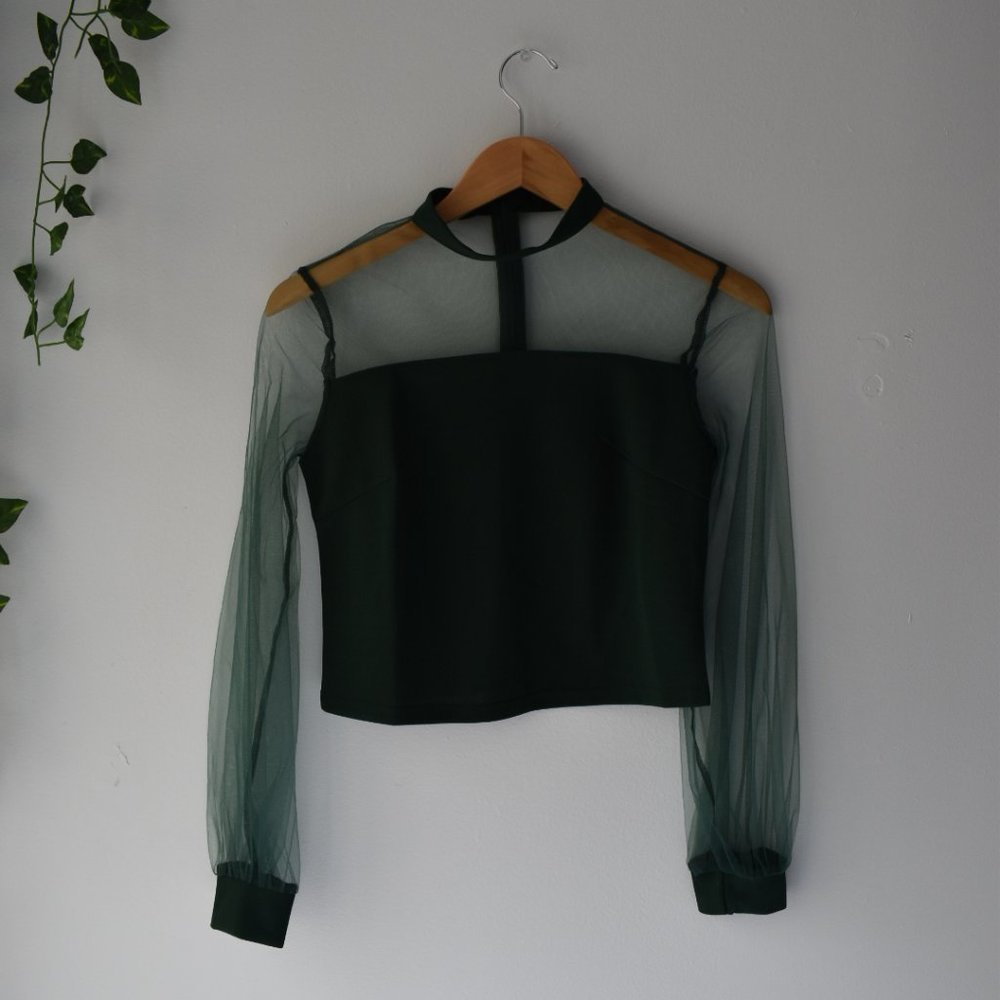 SHEIN Sheer Long Sleeved Green Top